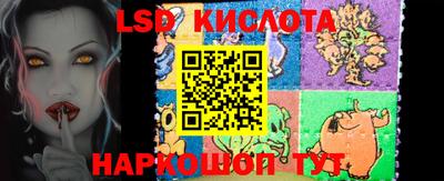 винт Донецк
