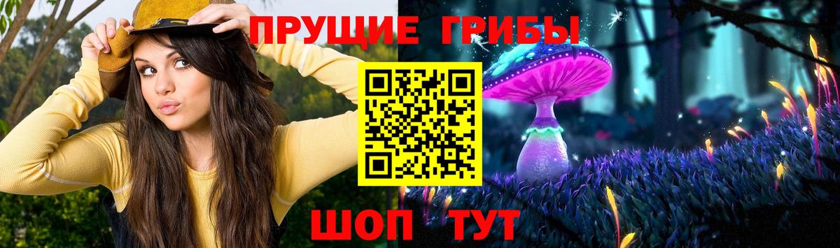 Лесосибирск  наркошоп  Псилоцибиновые грибы Cubensis  Вход с VPN  Галлюциногенные грибы GOLDEN TEACHER 